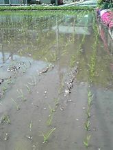 無事に終了