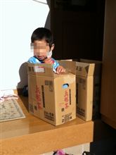 箱入りムスコ