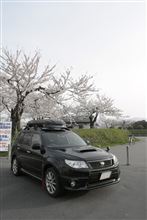 函館市の桜満開 〜撮影のみｗ編〜