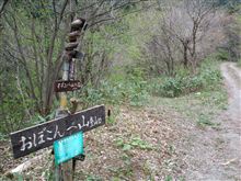 山歩き