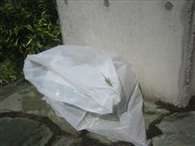 GW最終日に奇跡の再会が！