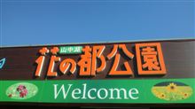 日曜もドタバタと…(￣▽￣;) 