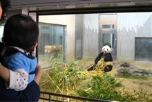 上野動物園のパンダより・・・