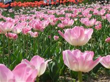 ５月５日お出かけ日より♪