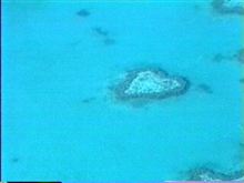 気がつけば・・・