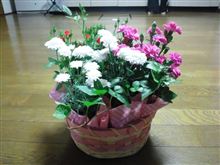 さーて(。・ω・。)