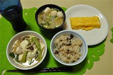 豚肉と豆腐煮込み