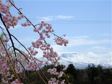 半年振りに ☆愛撫☆