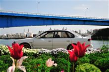 撮り鉄...。撮り車...。