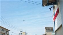 ☆ＺＥＰＰＥＬＩＮ！☆