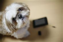 ポータブルナビもツンデレか(爆 ポータブルナビもツンデレか(爆