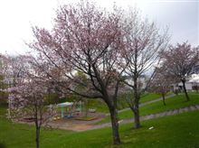 桜が咲く季節　ニューマシン参上！