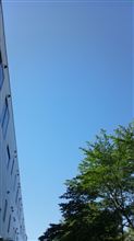 休日出勤