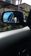 おはようございます！