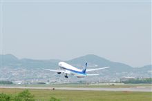 撮り鉄ならぬ撮り翼？