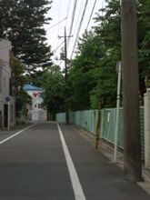 ノーネクタイだけで十分涼しいヽ(≧▽≦)/
