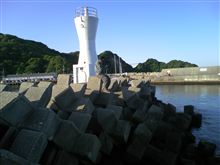 イカじゃなくてタコが… イカじゃなくてタコが…