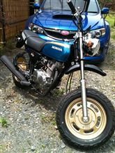 バイク納車！