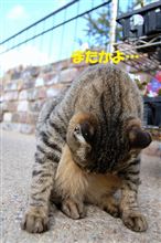 はぁ～…