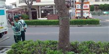 春の交通安全週間です♪