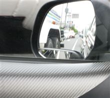 やっぱり捕まった！　（謎