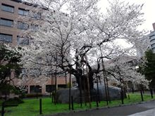 いい天気だねえ