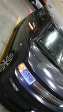 モッコリに(・∀・)ﾆﾔﾆﾔ