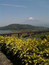 仕事中ですよ。