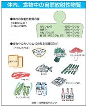 そうか、ガイガーカウンターが振れるだけで食材を捨てるのか そうか、ガイガーカウンターが振れるだけで食材を捨てるのか