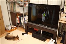 ◆久しぶりの日記かな。