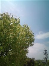 勿体無い