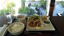 緑が鮮やかになってきましたね