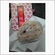 大宰府天満宮でござる