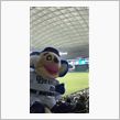 野球観戦（埼玉西武VS中日）