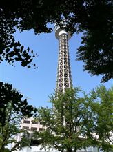 ウォーキングシーズン！