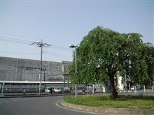 定点観測5/21(土)
