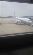 ダウンサイジング…。