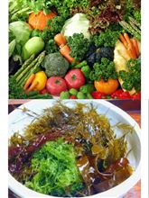 野菜と海藻
