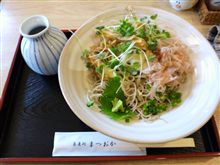 ごぼう天おろし