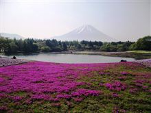 富士芝桜まつり