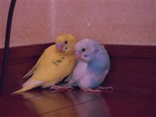 狭いところが好きっぽい