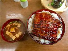 原付うなツー