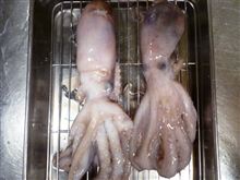 初めての食材「テナガダコ」に挑む～ヘムルチム～
