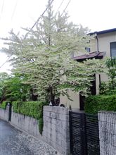 じゃらじゃらじゃらじゃら