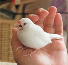 我が家の・・・