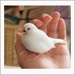 我が家の・・・