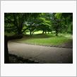 岩本山公園オフ　　ＶＭ