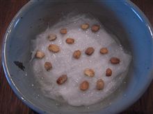 にがうり始めました