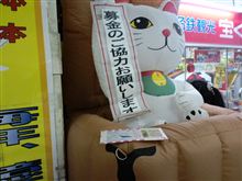 買ってきました。