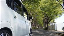 記念旅行.｡ﾟ+.ヾ(&#180;∀`*)ﾉ ｷｬｯｷｬｯｷｬ｡+.ﾟ